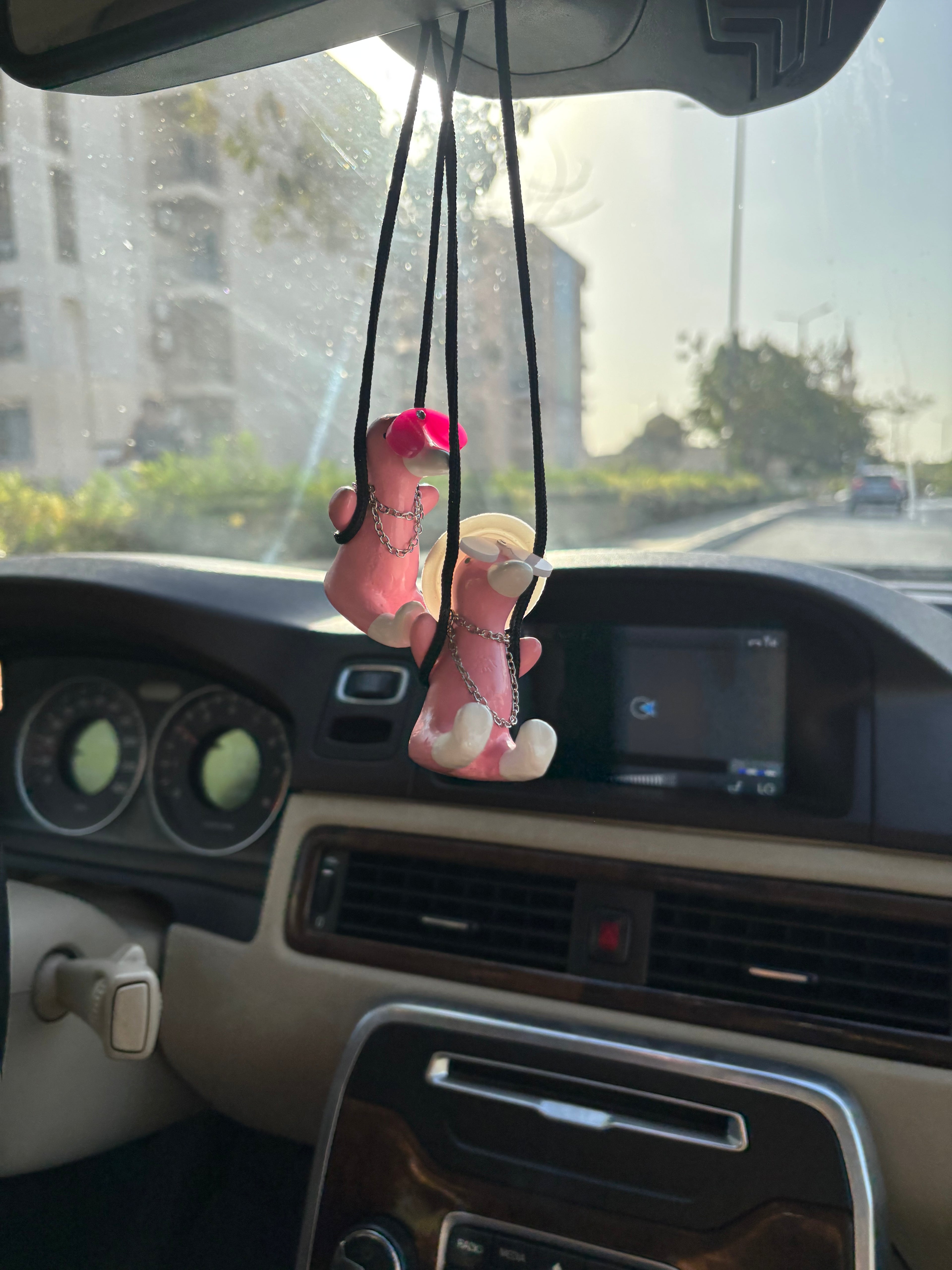 Duckaround™ Semsema🩰🦢