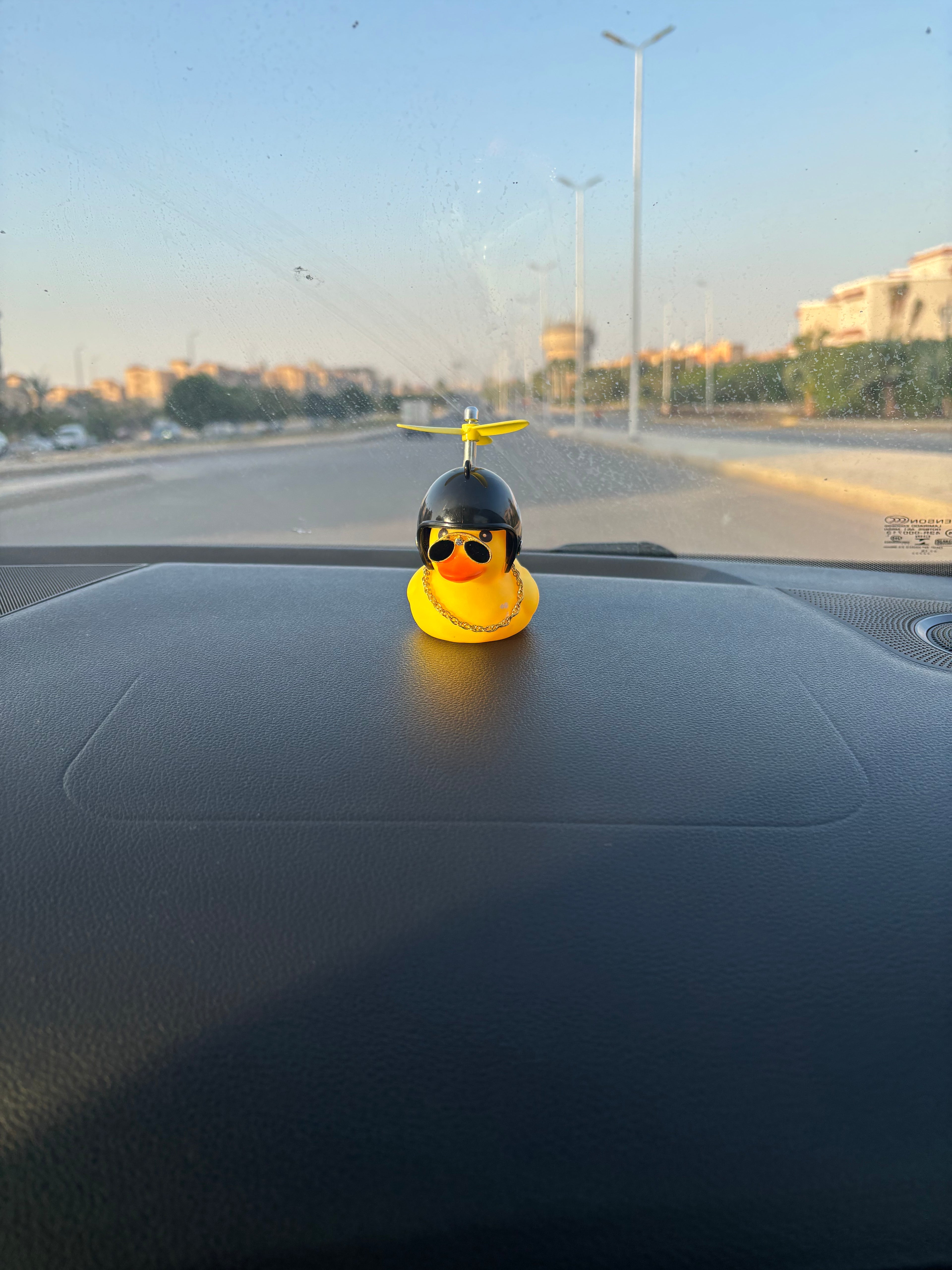 Duckaround™ Gaafar 8 Ball Pool