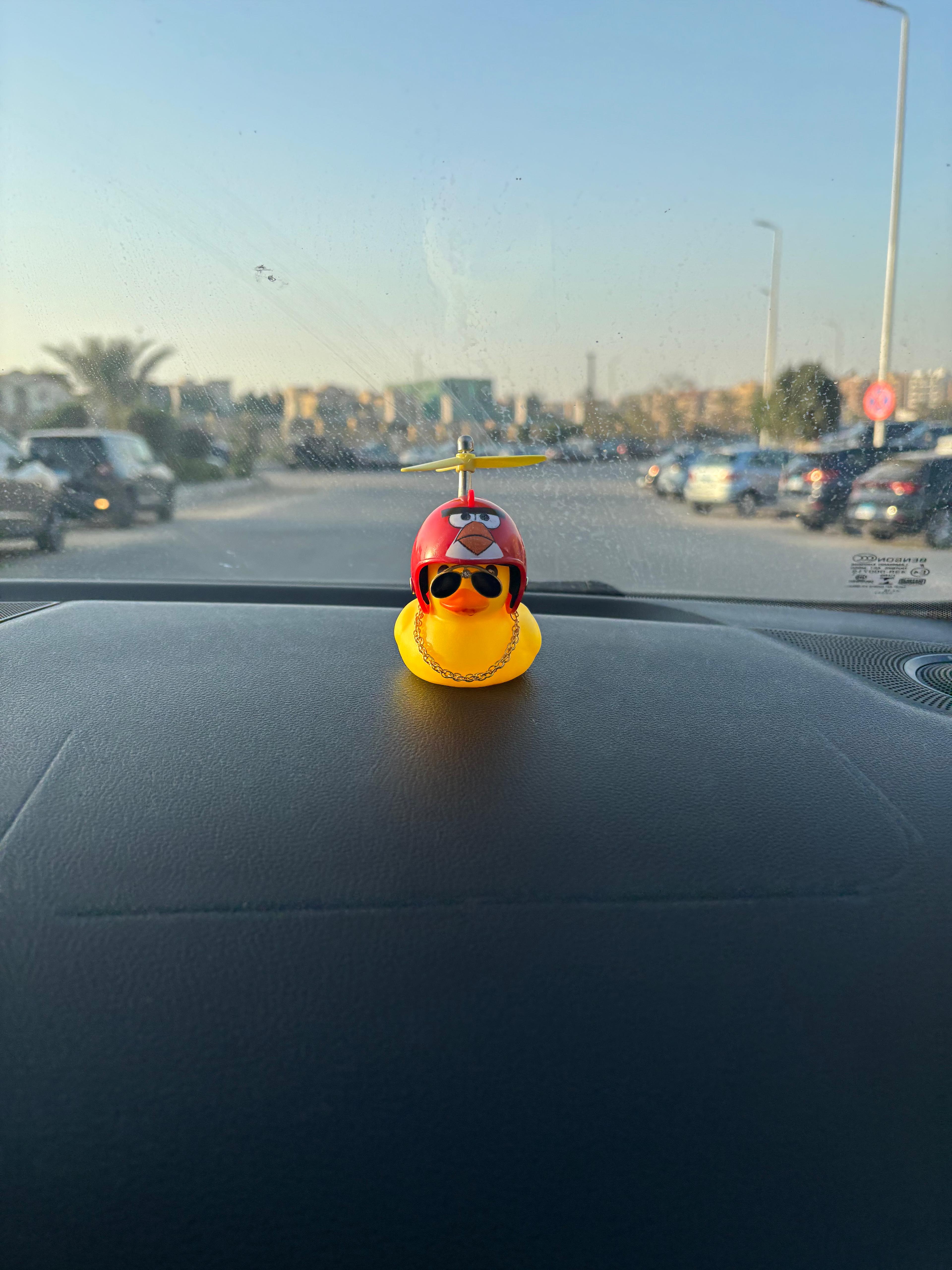 Duckaround™ Gaafar Angry Birds