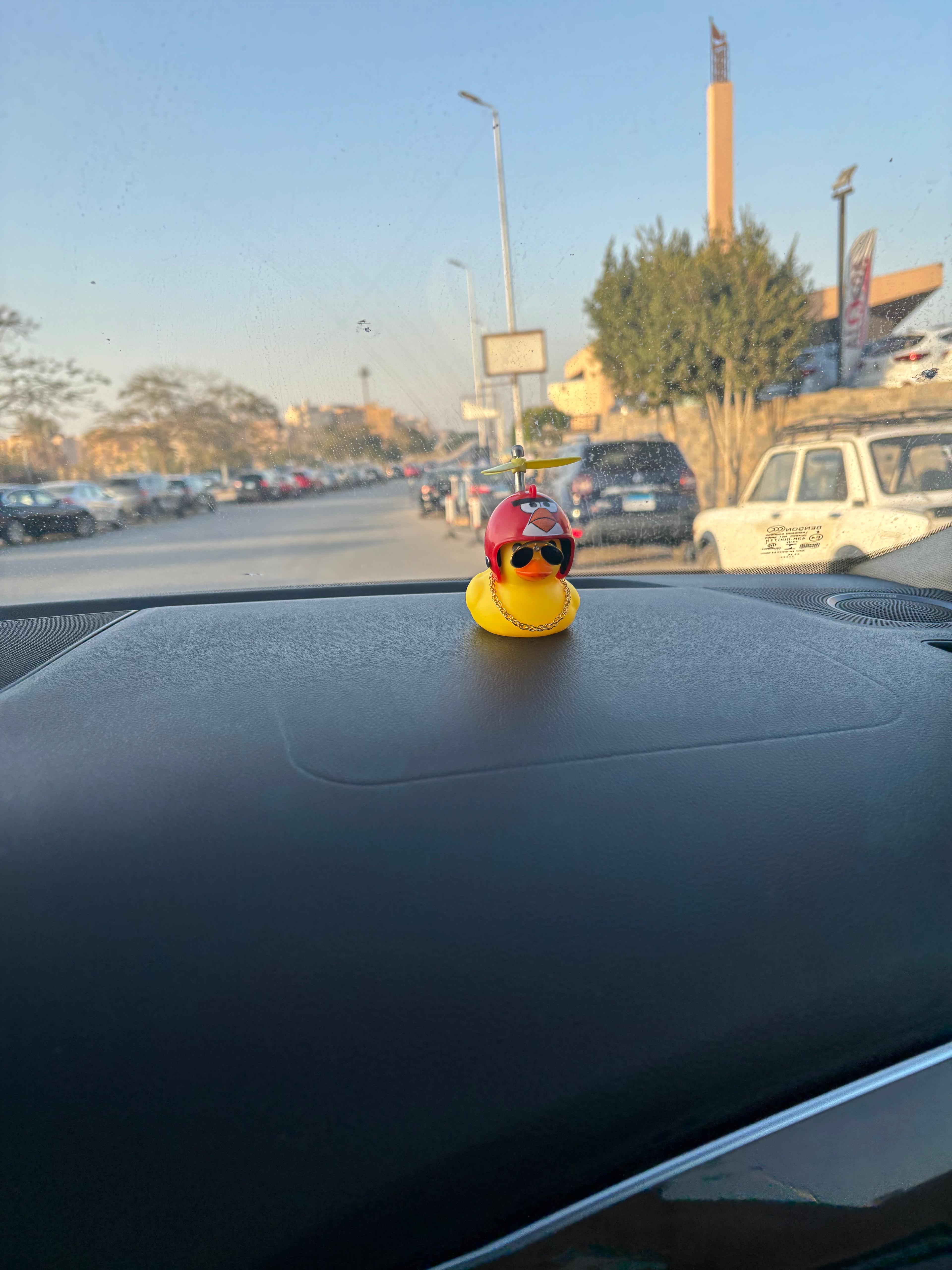 Duckaround™ Gaafar Angry Birds