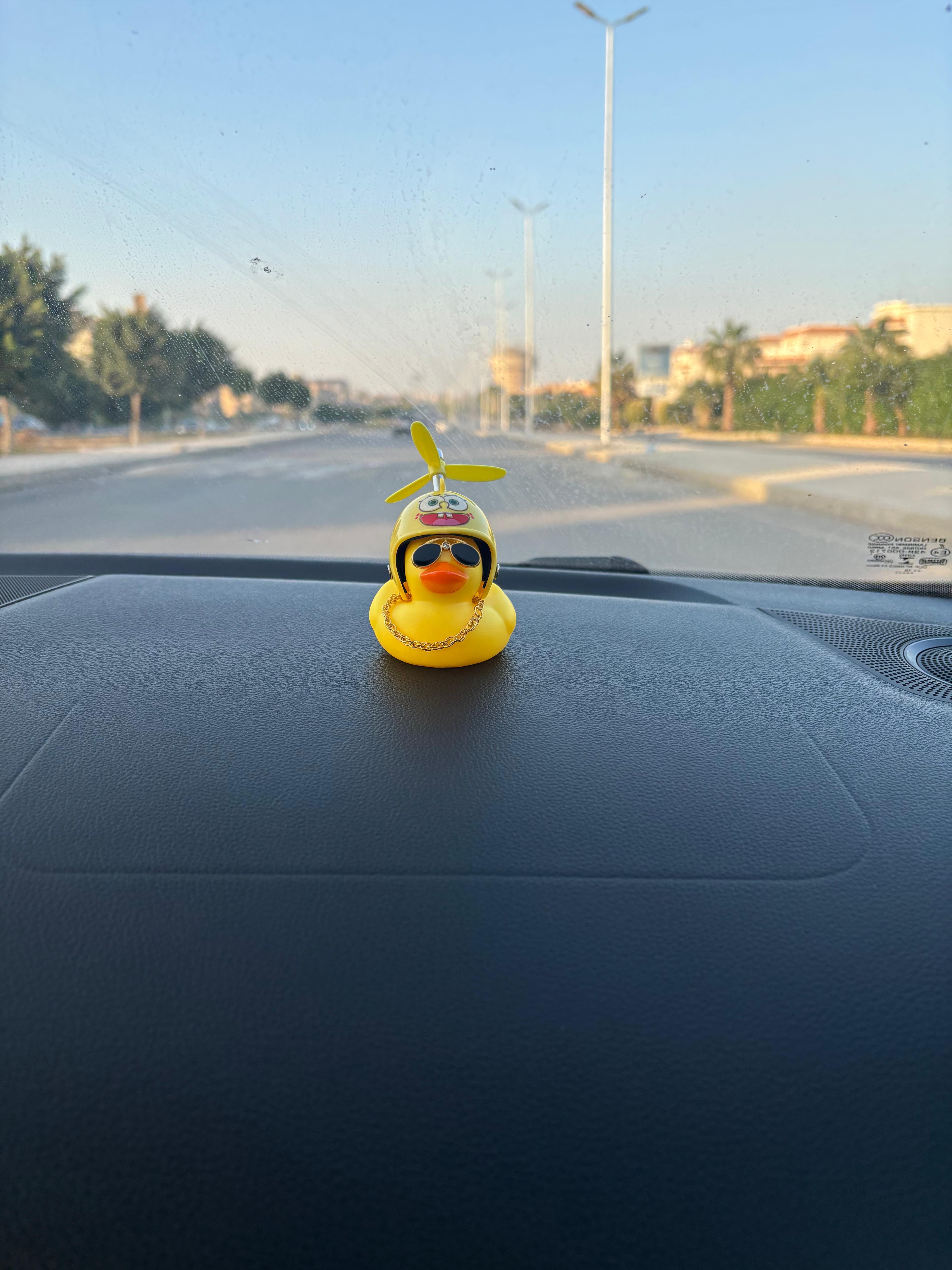 Duckaround™ Gaafar Sponge