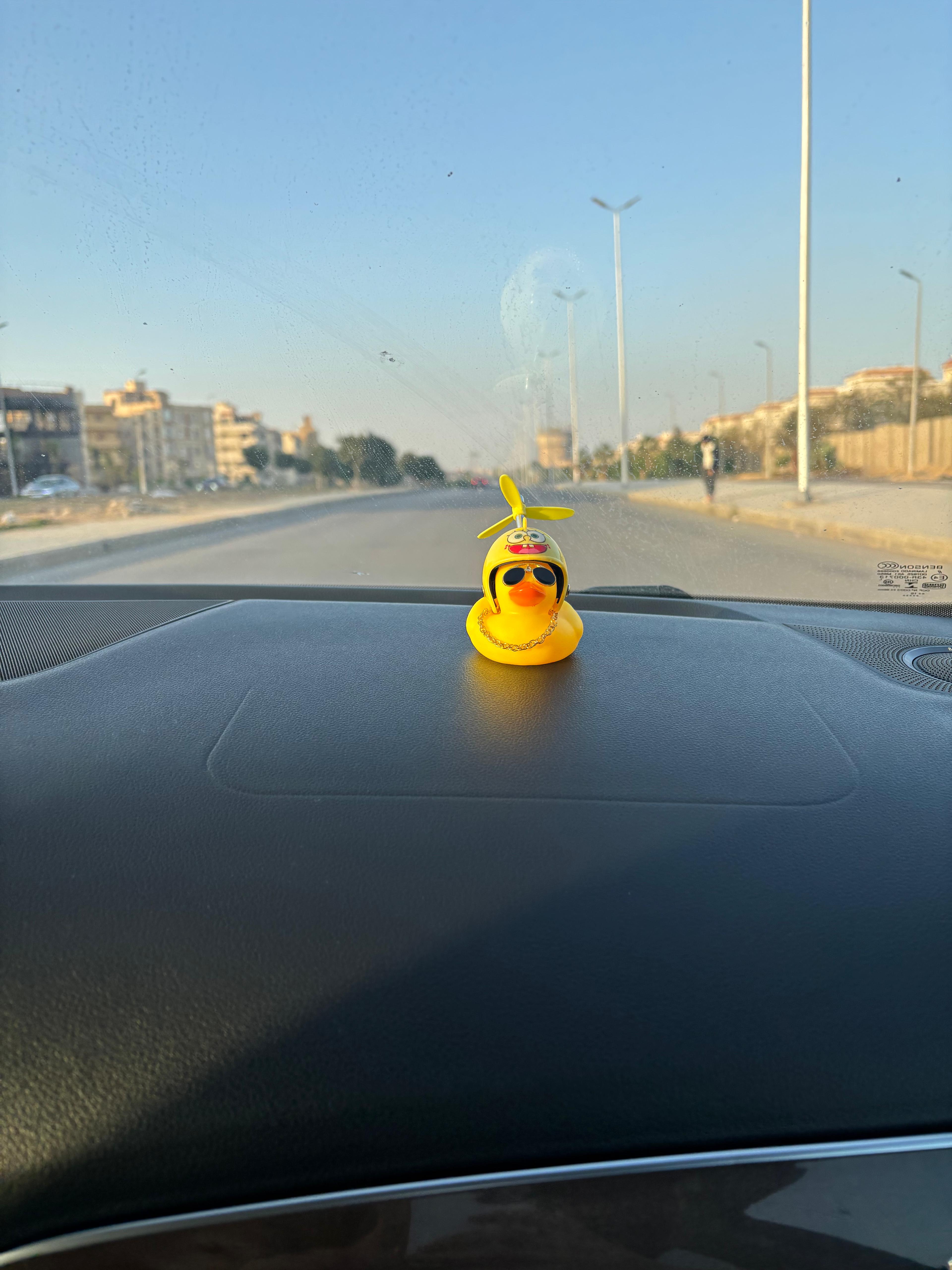 Duckaround™ Gaafar Sponge