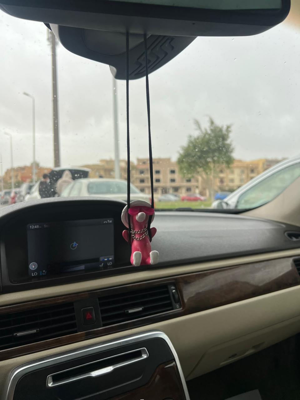 Duckaround™ Semsema🩰🦢