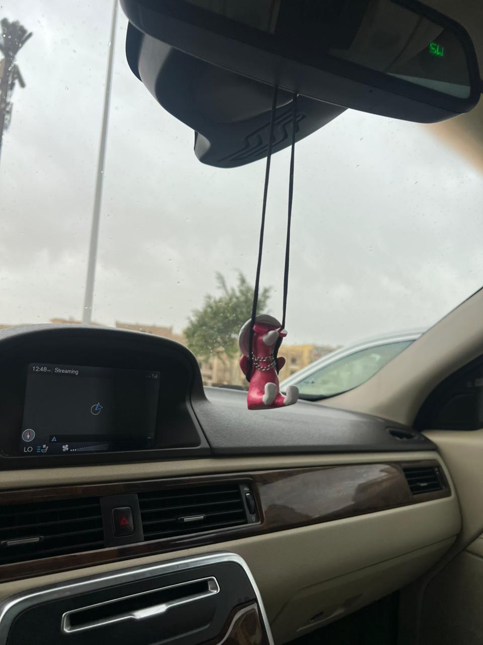 Duckaround™ Semsema🩰🦢