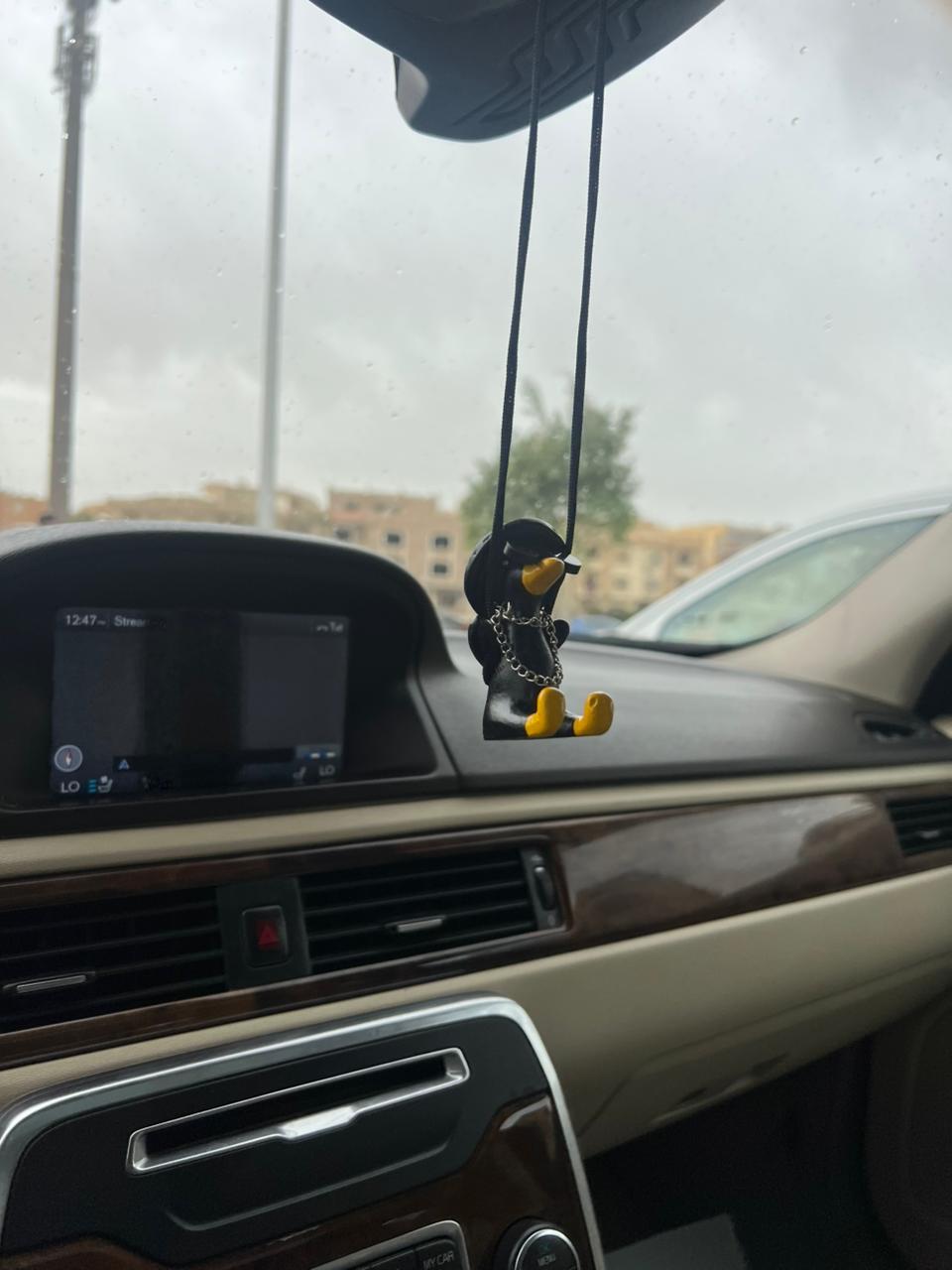 Duckaround™ Me3temed🦆